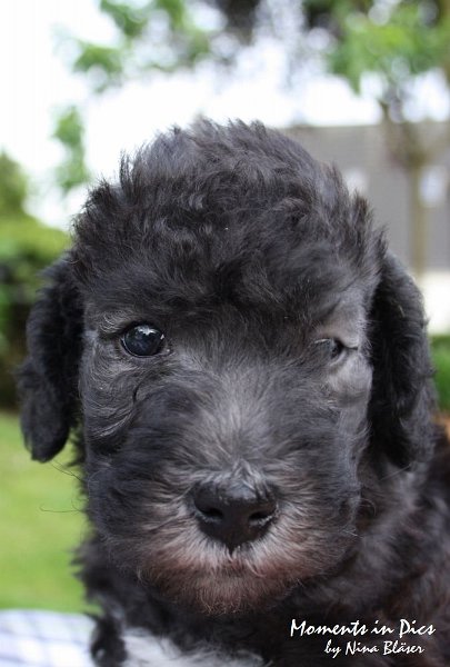 Arc-en-ciel Antares 2009-06-17 (47).JPG